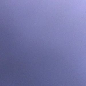 Meet your Posher, Lejla